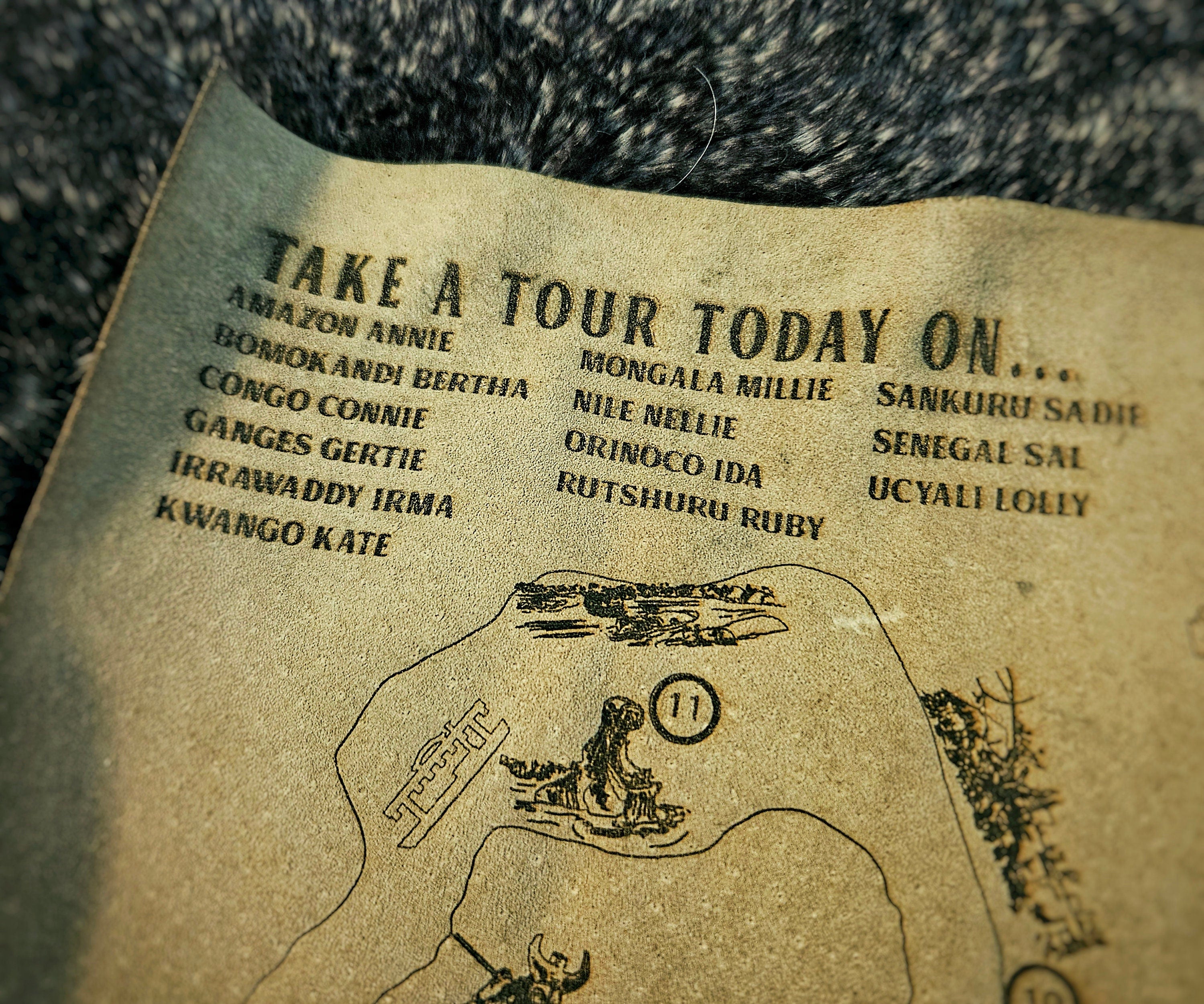 Jungle Cruise Ride Map - Magic Kingdom - Walt Disney World - Leather Map